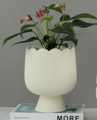 Ceramic flower pot leggy